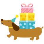 dachshund (1)